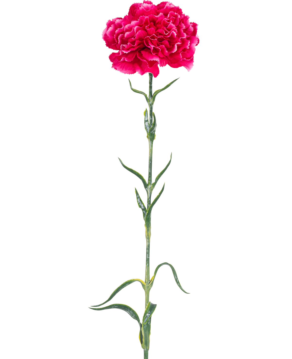 Konstgjorda blomsternejlika 69 cm hårdrosa har en enda ljusrosa nejlika med volanger i kronbladen, en lång grön stjälk och smala blad mot en vanlig vit bakgrund.
