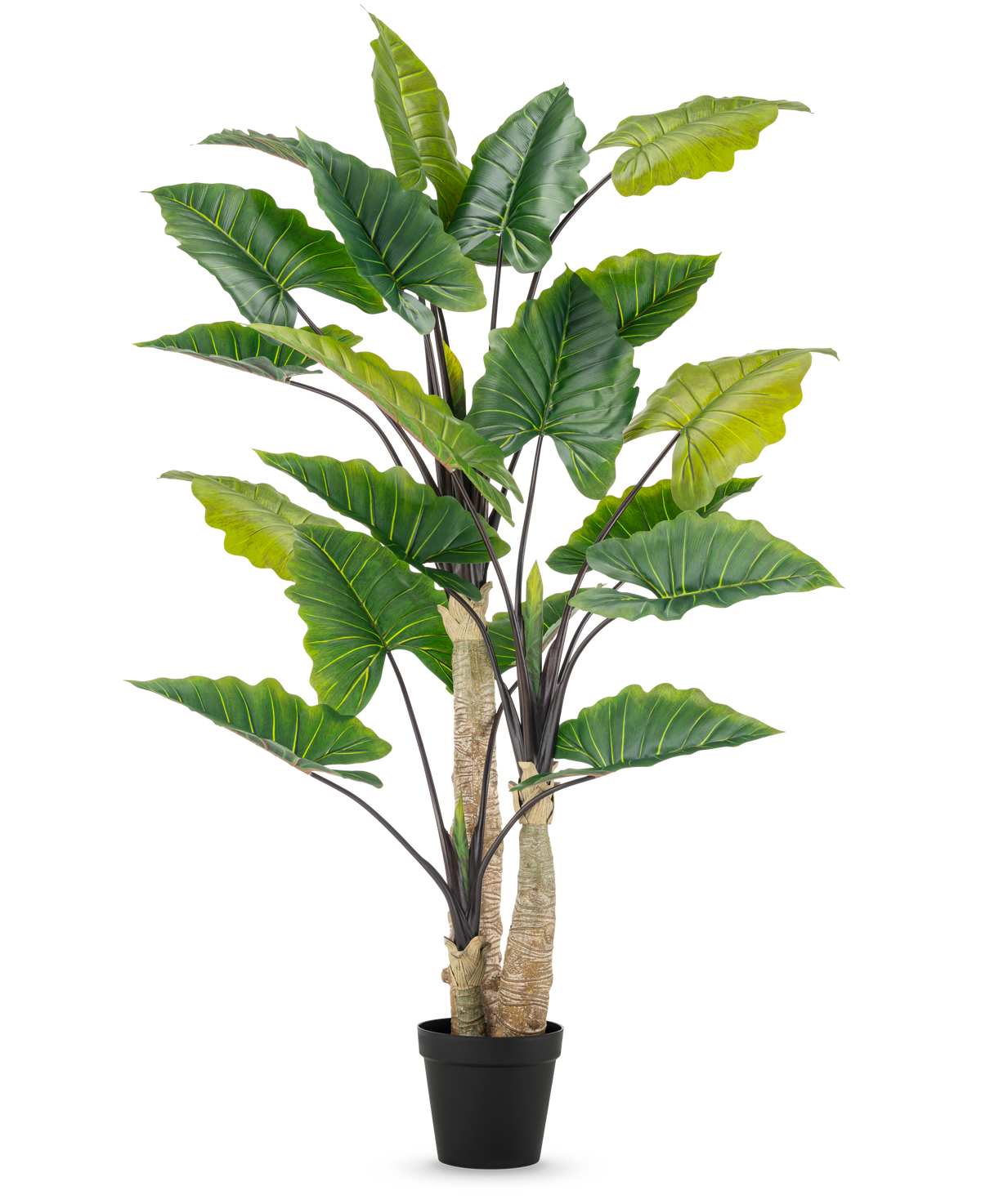 Den konstgjorda växten Alocasia 240 cm är en hög konstgjord växt med stora gröna blad och flera stjälkar i en svart kruka, mot en vanlig vit bakgrund.