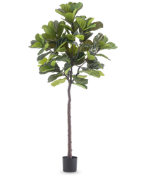 Konstgjord Fiolinfikus Deluxe 215 cm