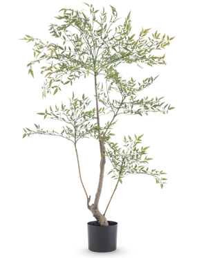 Artificiell Ruscus 120 cm är en hög, smal konstgjord växt med långa tunna grenar med många små gröna blad. Den står i en enkel svart kruka och ger realistisk grönska till alla rum utan behov av underhåll.