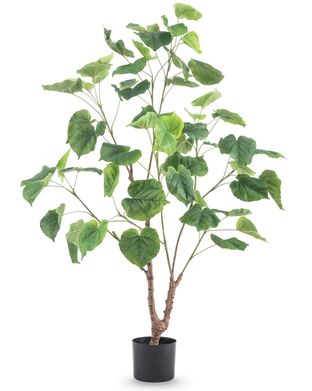 Konstgjorda växten Ficus 120 cm är en hög konstgjord växt med flera smala grenar och stora hjärtformade gröna blad, i en enkel svart kruka mot vit bakgrund.
