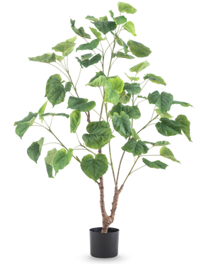 De Kunstplant Ficus 120 cm is een hoge kunstplant met meerdere slanke takken en grote, hartvormige groene bladeren, in een eenvoudige zwarte pot tegen een witte achtergrond.