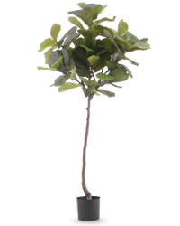 Konstgjord Fiolinfikus Deluxe 180 cm