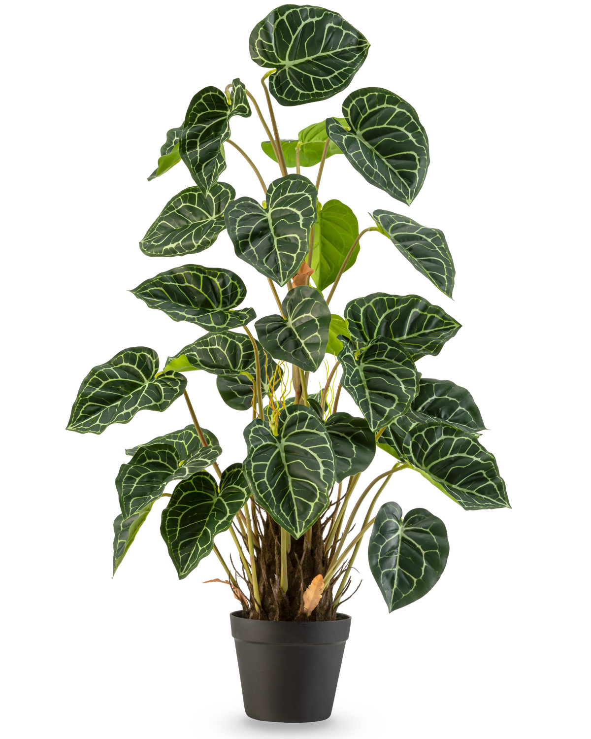 En konstgjord växt Anthurium 90 cm grön med frodiga, hjärtformade gröna blad och slående vita ådror, mot en vanlig vit bakgrund.