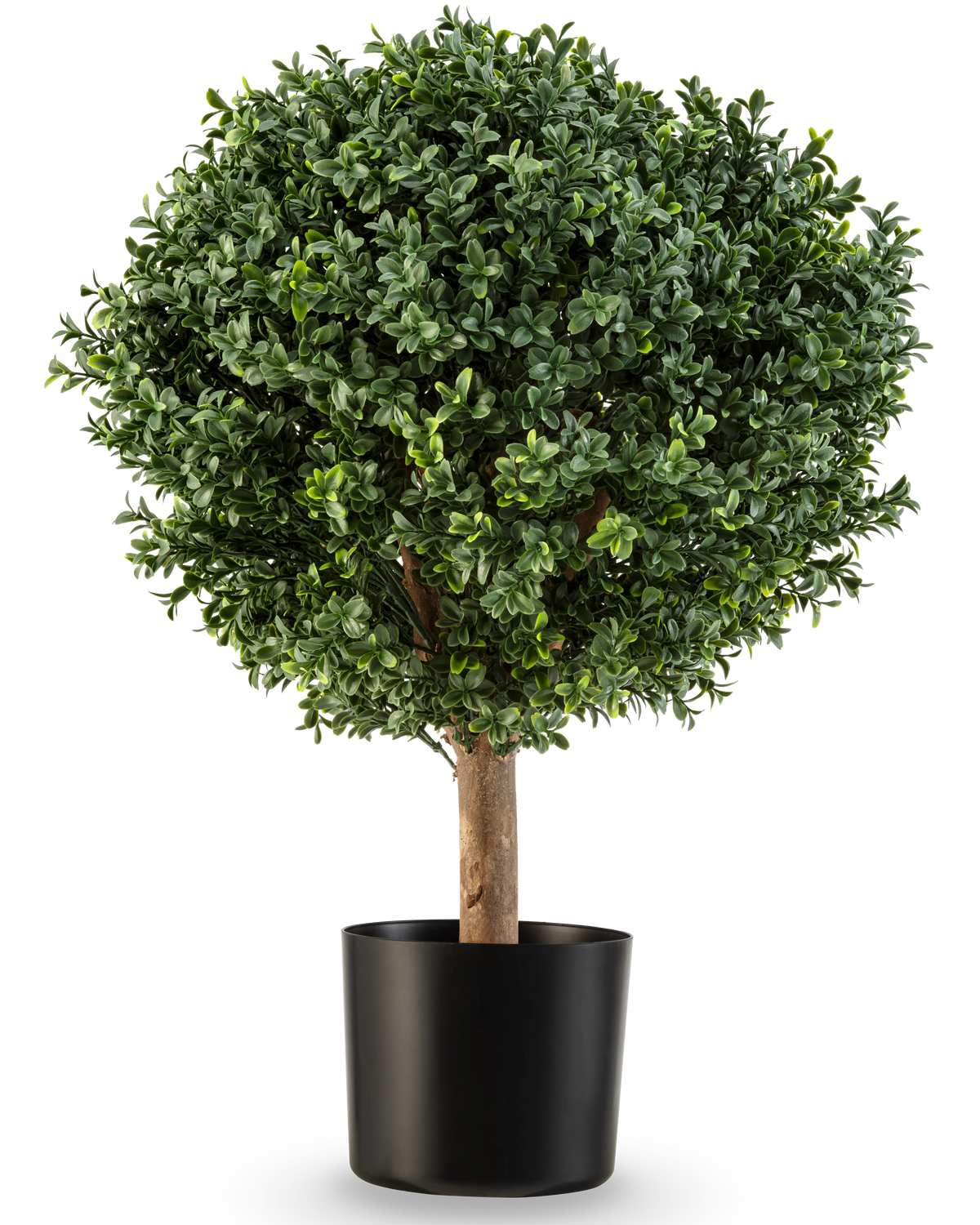 Artificiell buxbom på stjälk romersk stil UV 65cm har en rund, frodig grön form med tätt löv i en enkel svart kruka, perfekt för att lägga till elegans mot en vit bakgrund.