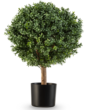 De Kunstplant Buxus op stam Romeinse stijl UV 65cm heeft een ronde, weelderig groene vorm met dicht gebladerte in een eenvoudige zwarte pot, perfect om elegantie toe te voegen tegen een witte achtergrond.