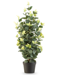 Konstgjord växt Eukalyptus 61 cm