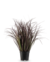 De Kunst Grasplant Wild Lawn 50 cm brandvertragend heeft hoge, smalle, donkerpaarse bladeren in een zwarte pot tegen een witte achtergrond-een stijlvolle kunstplant ideaal voor moderne interieurs.