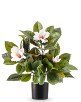 Artificiell Magnoliaväxt i 46 cm kruka är en växt med lågt underhållsbehov med stora, glänsande gröna blad och tre ljusrosa blommor med gult hjärta, i en enkel svart kruka mot vit bakgrund.