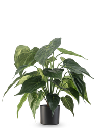 Konstgjord växt Alocasia 51 cm