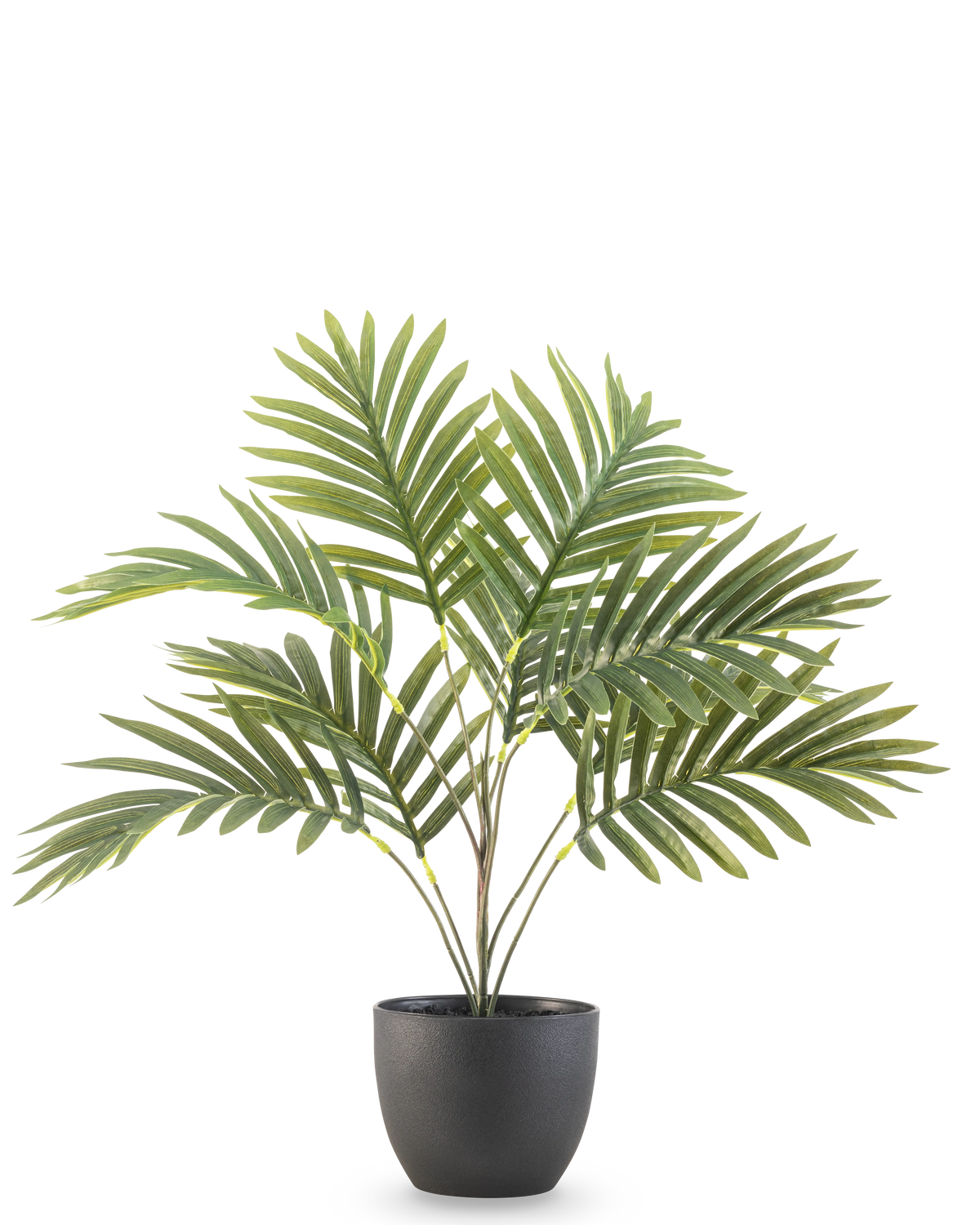 Artificiell Palm Phoenix 50 cm har långa gröna böjda blad i en rund svart dekorativ kruka, mot en vanlig vit bakgrund.