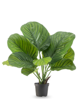 De Kunstplant Calathea 46 cm is een potplant met grote, brede groene bladeren die opvallende licht- en donkergroene strepen vertonen, afgebeeld tegen een effen witte achtergrond.