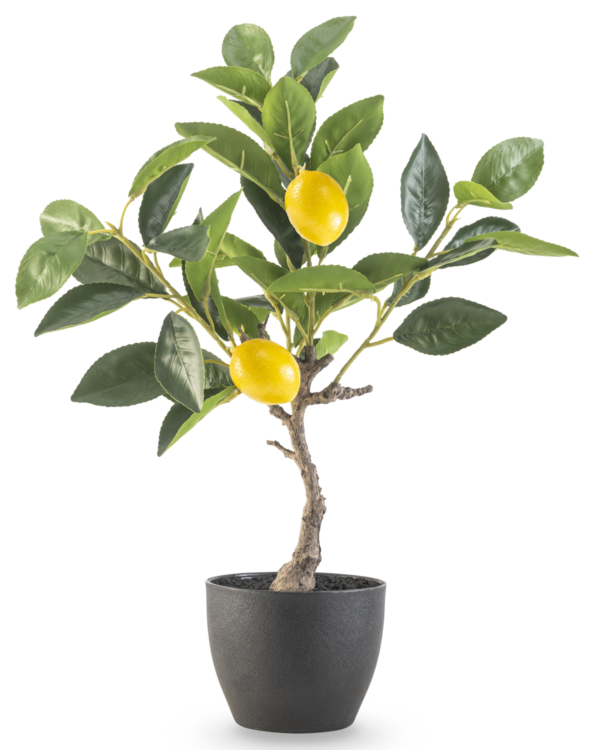 Det konstgjorda citronträdet 40 cm i svart dekorativ kruka har gröna blad och två mogna gula citroner i en kruka med svart struktur, perfekt att visa mot en vit bakgrund.