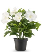En konstgjord Petunia-växt UV 25 cm hög i en svart plastkruka har frodiga gröna blad och flera stora, vita, trumpetformade blommor, mot en vanlig vit bakgrund.