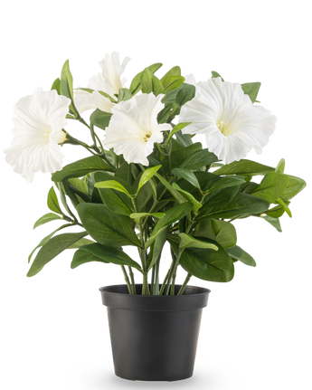 Konstblomma Petunia-växten UV 25 cm hög har stora vita trumpetformade blommor och frodiga gröna blad i en svart plastkruka, mot en vanlig vit bakgrund.