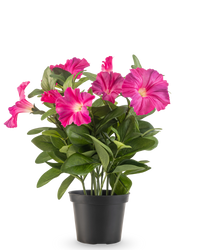 Konstgjord Petunia-växt 25 cm mörkrosa
