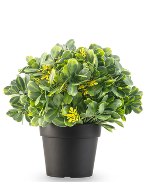 Den konstgjorda växten Grön/gul UV 21 cm har gröna blad och små gula blommor i en vanlig svart kruka, mot en vit bakgrund.