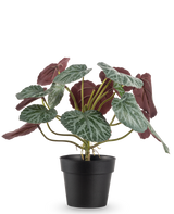 De Kunstplant Saxifraga 27 cm heeft groene bladeren met witte nerven en roodpaarse onderkanten, gepresenteerd in een eenvoudige zwarte pot tegen een effen witte achtergrond.