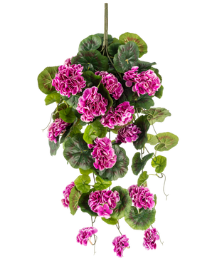 Den konstgjorda hängande växten Geranium 75 cm lila har frodiga gröna blad och klasar av livfulla lila-magenta blommor med vita kanter, som graciöst faller ner för en vertikal stjälk för en vacker hängande display.