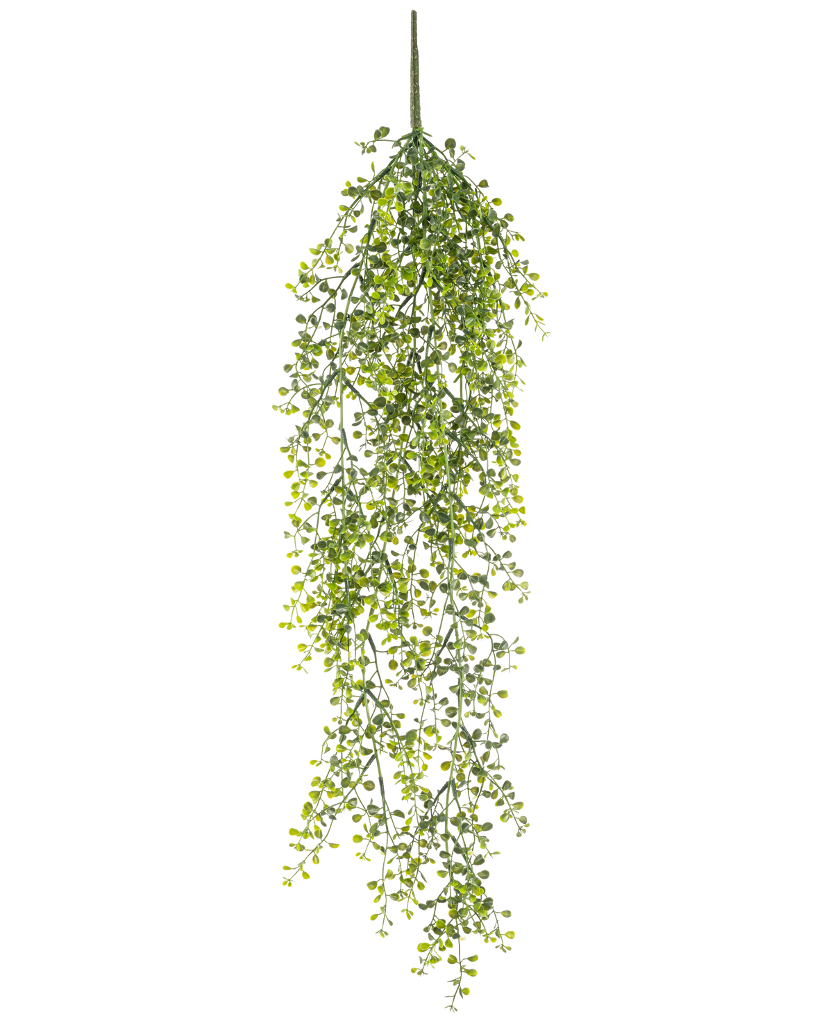 Den konstgjorda hängväxten Buxus 80 cm är en konstgjord hängväxt med långa, slingrande gröna rankor och små runda blad mot en vit bakgrund.