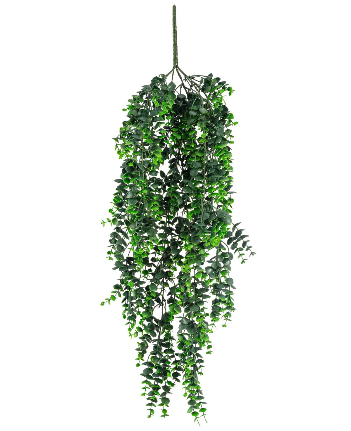 Den konstgjorda hängande växten Eucalyptus UV 80 cm har täta, forsande gröna blad och en synlig stjälk i toppen, mot en vanlig vit bakgrund.