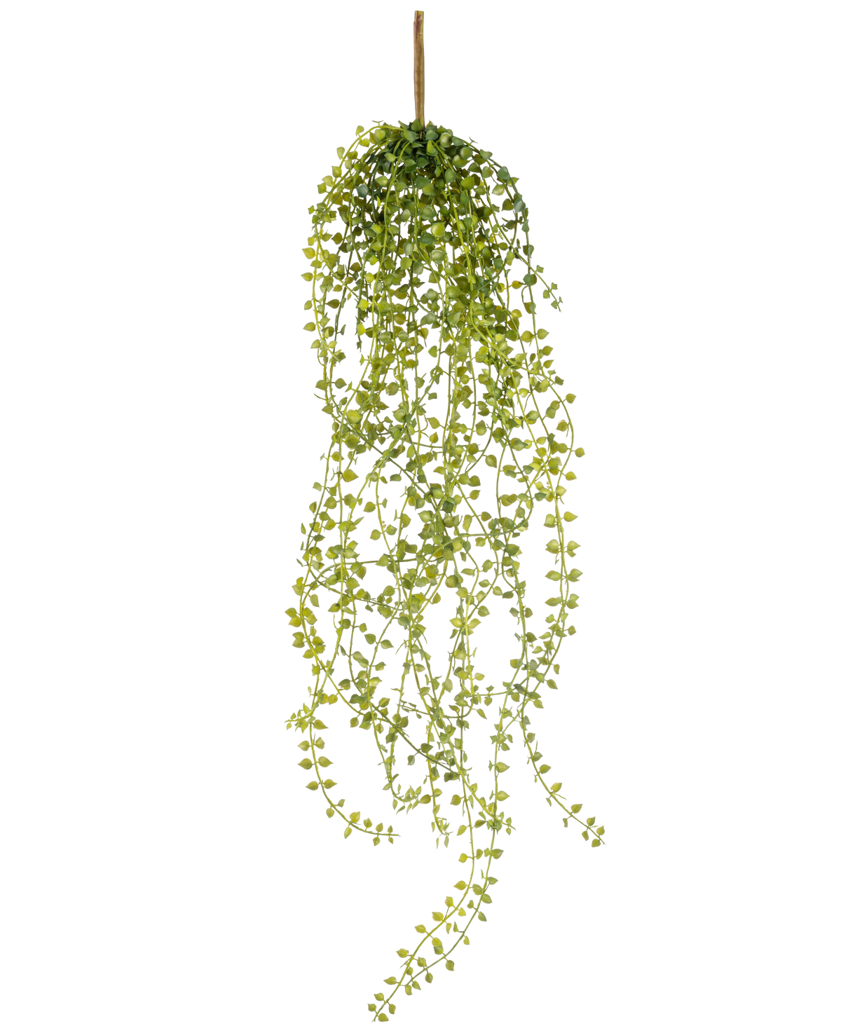 Den konstgjorda hängväxten Jasmin 63 cm är en konstgjord hängväxt med långa, hängande stjälkar av små, runda gröna blad, hängande från en enda brun stjälk mot en vit bakgrund.