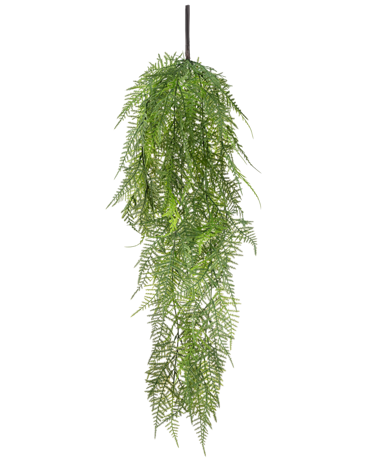 Den konstgjorda hängande växtsparrisen 78 cm har långa, känsliga gröna blad som faller ner, vilket skapar en frodig, verklighetstrogen bild mot en vanlig vit bakgrund.
