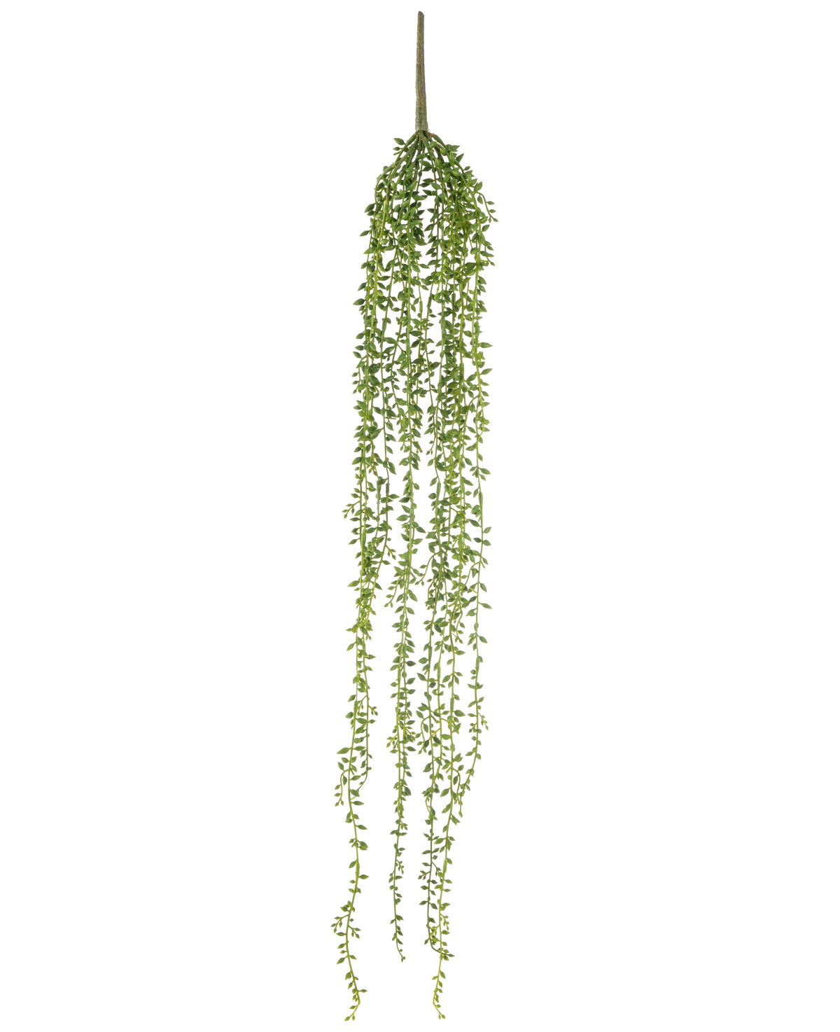 Den konstgjorda hängande växten Senecio 91 cm har långa, hängande stjälkar med små gröna blad, vilket skapar en elegant konstgjord hängande växt mot en vanlig vit bakgrund.