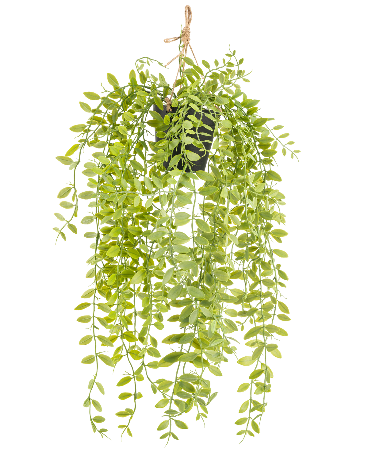 Den konstgjorda hängande växten Pumila i 55 cm kruka har långa, hängande stjälkar med små, ovala, gröna blad, i en svart kruka med ett rep mot vit bakgrund.