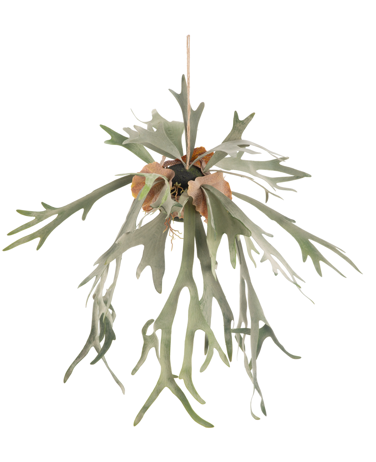 Den konstgjorda hängande växten Staghorn på kula 89 cm har långa, klyftade gröna blad och bruna sköldblad, hängande från ett snöre mot en vanlig vit bakgrund.