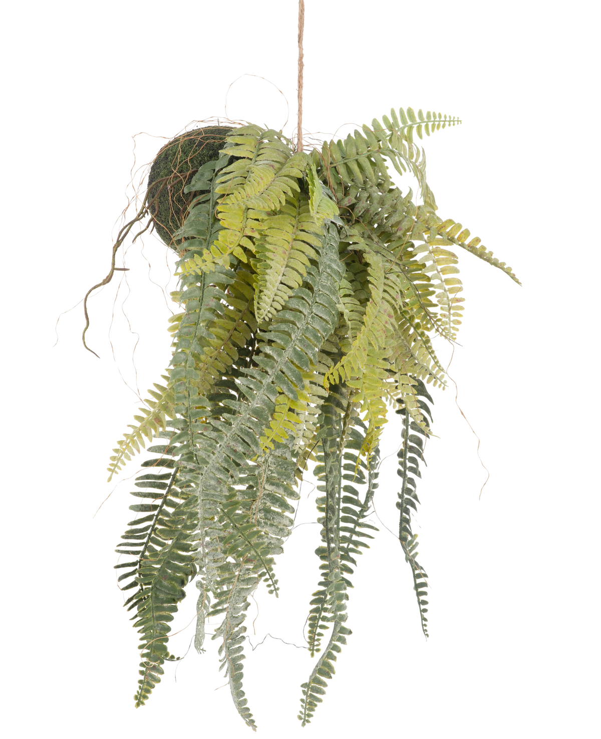 Den konstgjorda hängande växten Frosted Fern on ball 97 cm har graciösa, långa gröna blad som hänger från en mossbeklädd boll på ett tunt rep. En snygg, underhållsfri krukväxt som passar perfekt i alla interiörer.