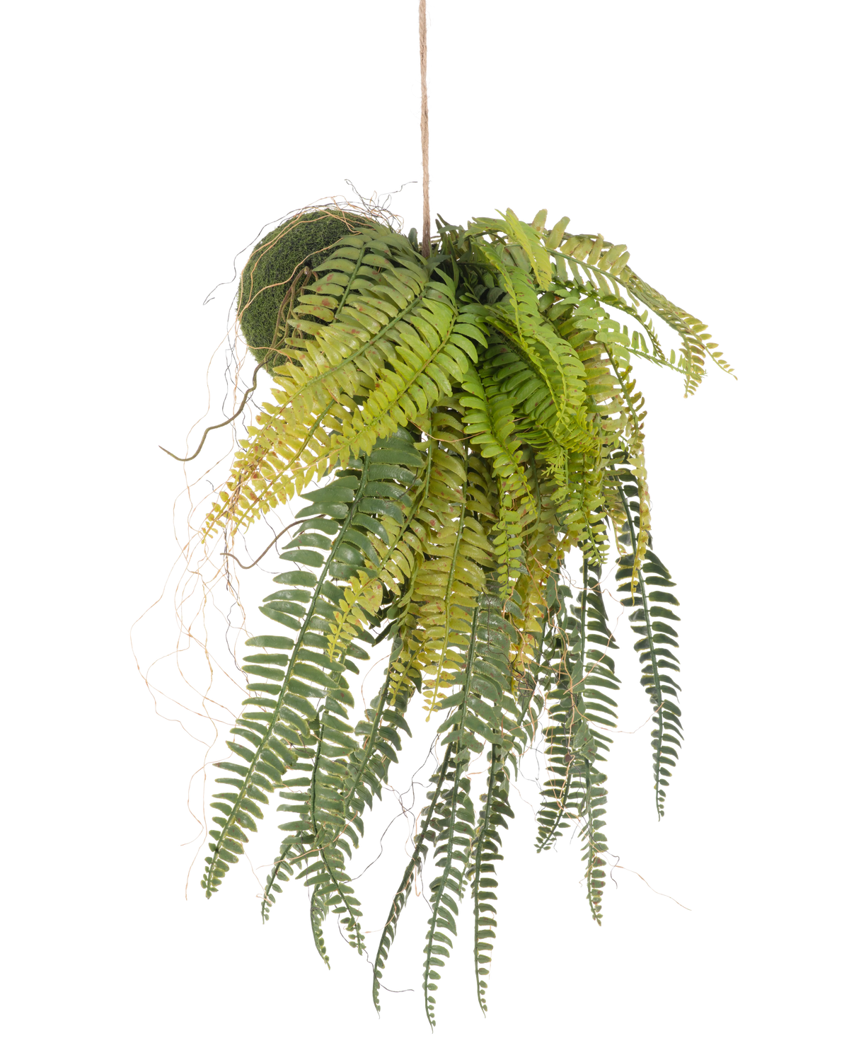 Den konstgjorda hängande växten Fern on ball 63 cm har frodiga, överhängande gröna blad och ömtåliga blad. Hängande i ett tunt snöre mot en vit bakgrund är det den perfekta underhållsfria hängväxten för alla rum.