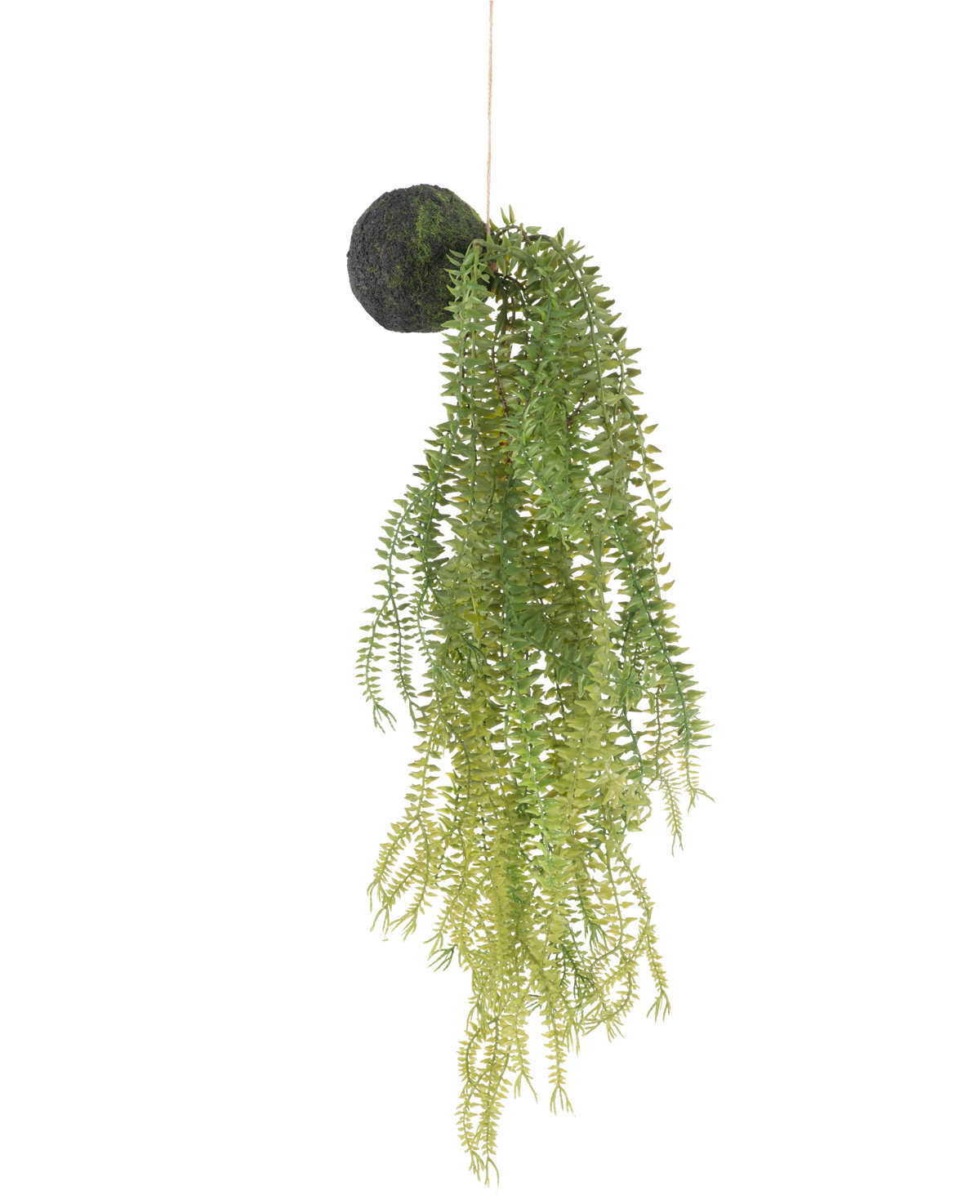 Den konstgjorda hängväxten Phlegmariurus ball 50 cm har gröna ormbunksblad på en mossbeklädd rund bas, upphängd i ett snöre mot vit bakgrund.