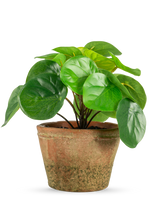 De Kunstplant Pilea in pot mini UV 15 cm heeft ronde, glanzend groene bladeren in een verweerde bruine terracotta pot, tegen een effen witte achtergrond.