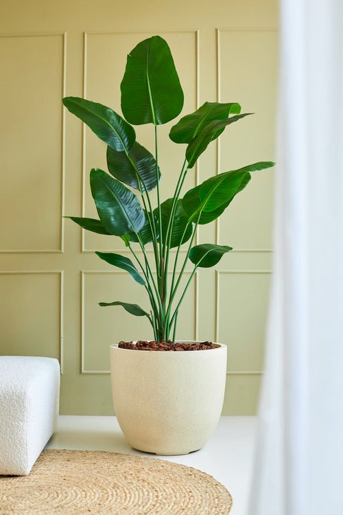 Den konstgjorda växten Strelitzia 180 cm real touch står på ett ljust golv nära en vit soffa och en vävd matta, mot en ljusgrön vägg med paneler, där de breda gröna bladen ger en naturlig touch.