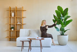 En kvinna i brun klänning sitter i en vit soffa, ler och håller en drink medan hon rör vid konstväxten Strelitzia Real Touch Deluxe 180 cm i ett modernt, minimalistiskt vardagsrum med trähyllor och ett soffbord.