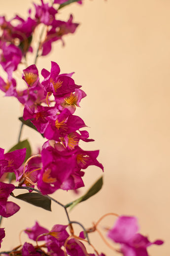 Artificiell Bougainvillea 150 cm Lila har livliga magentablommor med ett gult hjärta och gröna blad på en mjuk beige bakgrund. Denna realistiska design är perfekt för att lägga till naturinspirerad elegans till din interiör.