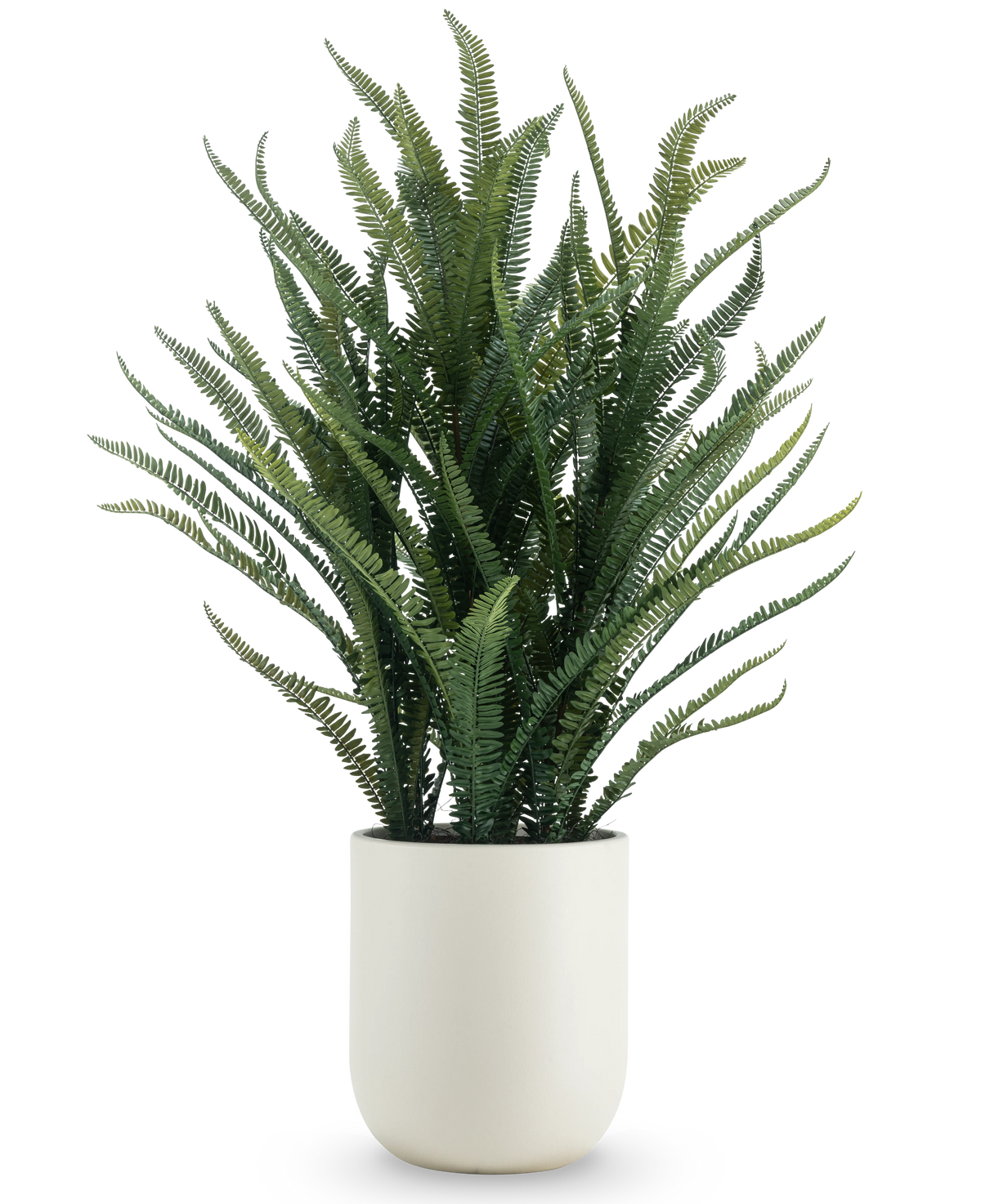 Den konstgjorda Boston Fern 127 cm har långa, smala gröna blad som växer uppåt och utåt. Hon står i en snygg vit kruka mot en vanlig vit bakgrund.