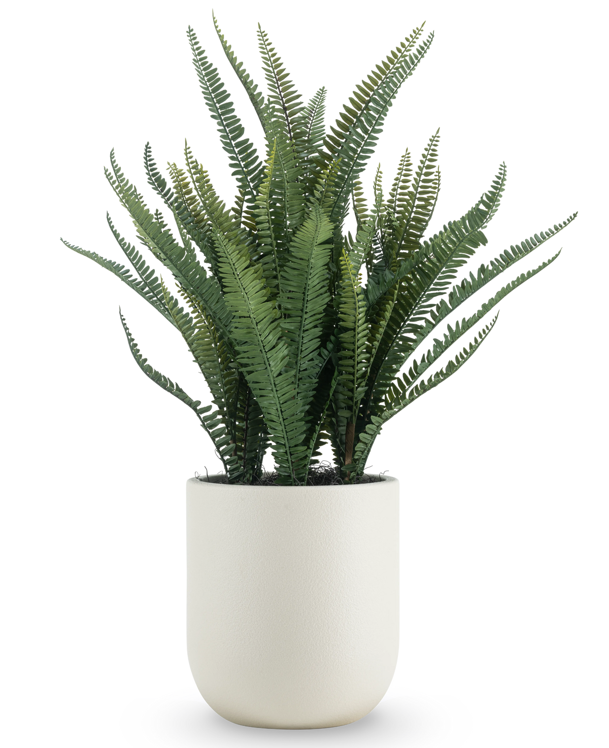 Den konstgjorda Boston Fern 82 cm har långa, smala gröna blad och kommer i en enkel rund vit kruka, mot en vanlig vit bakgrund.
