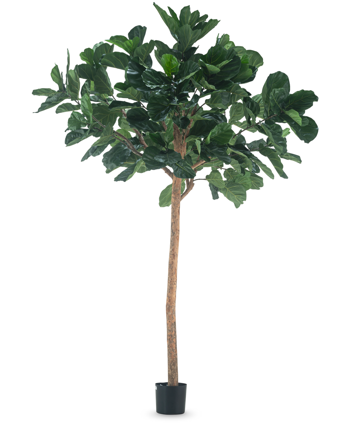 The Artificial Tree Tobacco Plant 260 cm är en hög konstgjord växt med frodiga gröna blad och en smal brun stam, i en kompakt svart kruka och mot en vanlig vit bakgrund.