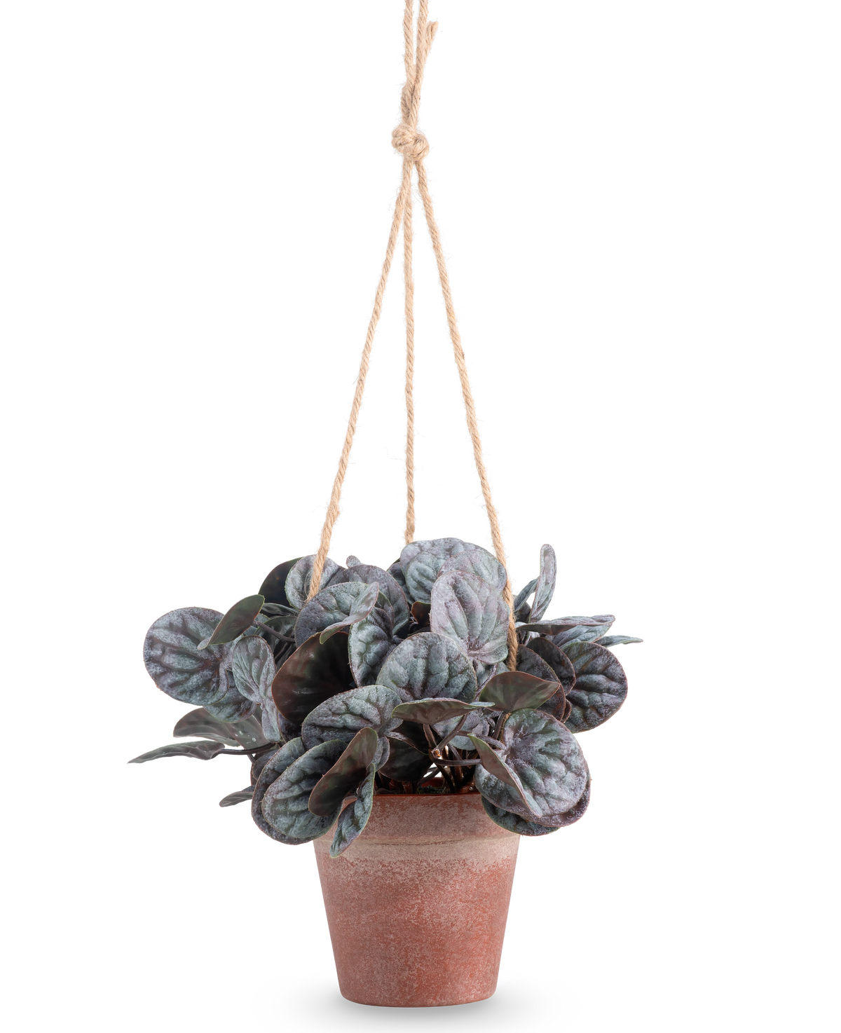 The Artificial Rugose Leaf (18 cm) är en konstgjord växt med runda, lummiga gröna blad i en rustik grå hängande kruka, hängd på en solbränd rephängare, mot en vanlig vit bakgrund.