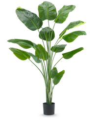 Konstgjord Strelitzia Real Touch 210cm