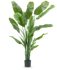 Konstgjord växt Strelitzia Nicolai Deluxe 215 cm
