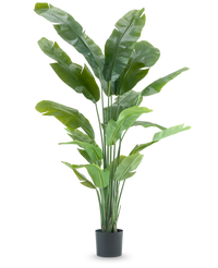 Konstgjord växt Strelitzia Nicolai Deluxe 195 cm