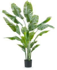 Konstgjord växt Strelitzia Nicolai Deluxe 185 cm
