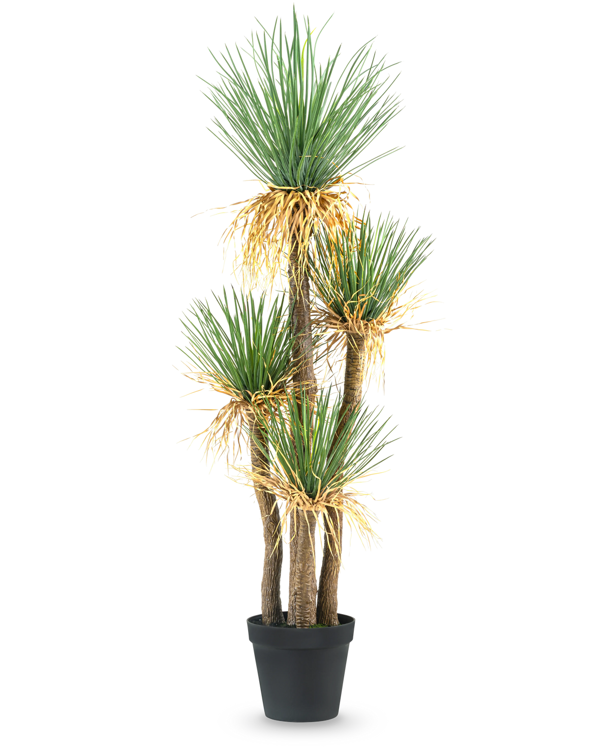 Den konstgjorda växten Yucca deluxe 182 cm är en hög konstgjord yucca med flera träiga stjälkar och knippen av långa, spetsiga gröna blad och lite gulfärgning vid basen, perfekt som en dekorativ pjäs för alla rum.