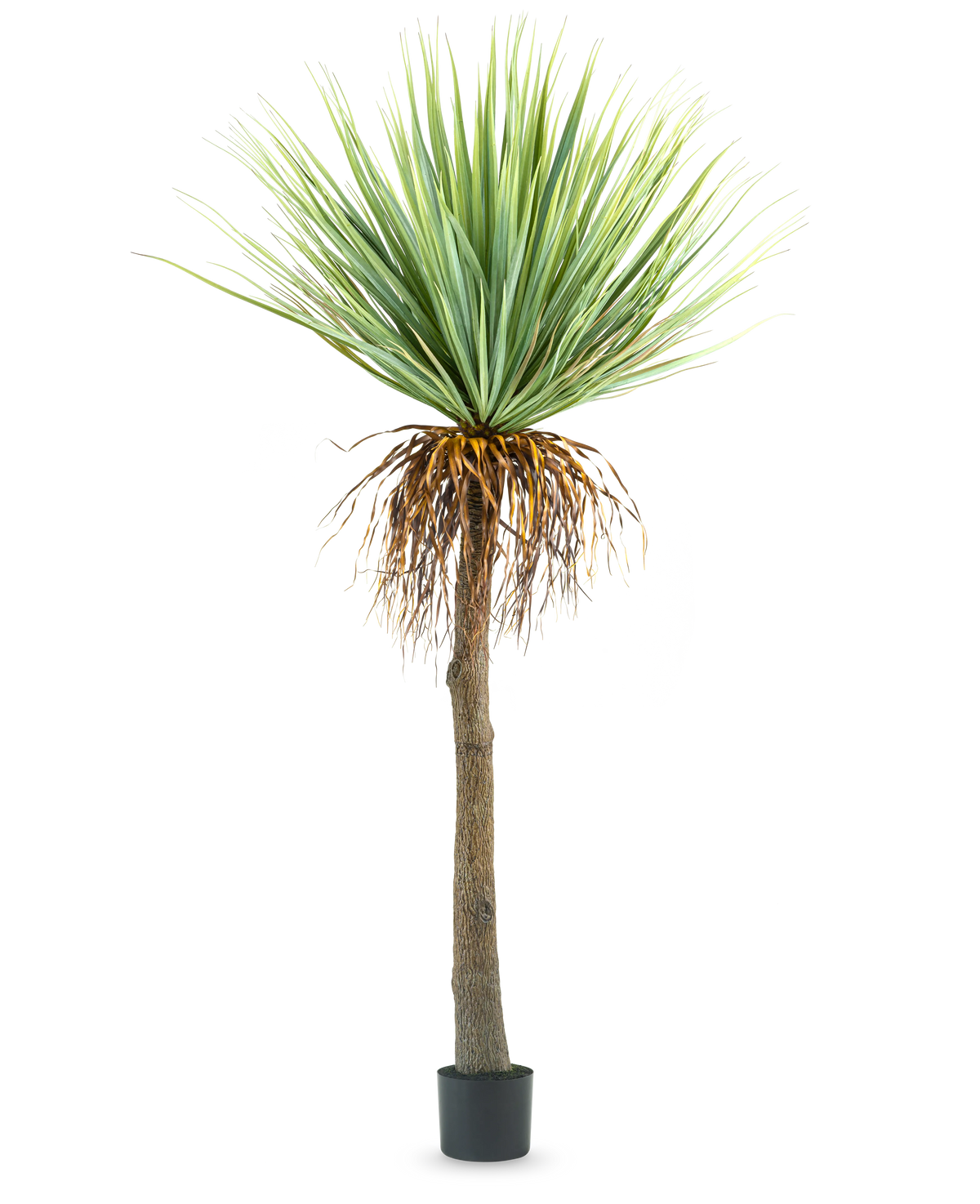 Den konstgjorda yuccaväxten 153 cm har en hög, grov brun stam med gröna taggiga blad upptill och några torkade blad nertill, mot en vanlig vit bakgrund.