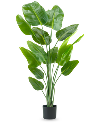 Konstgjord Strelitzia Real Touch 180cm