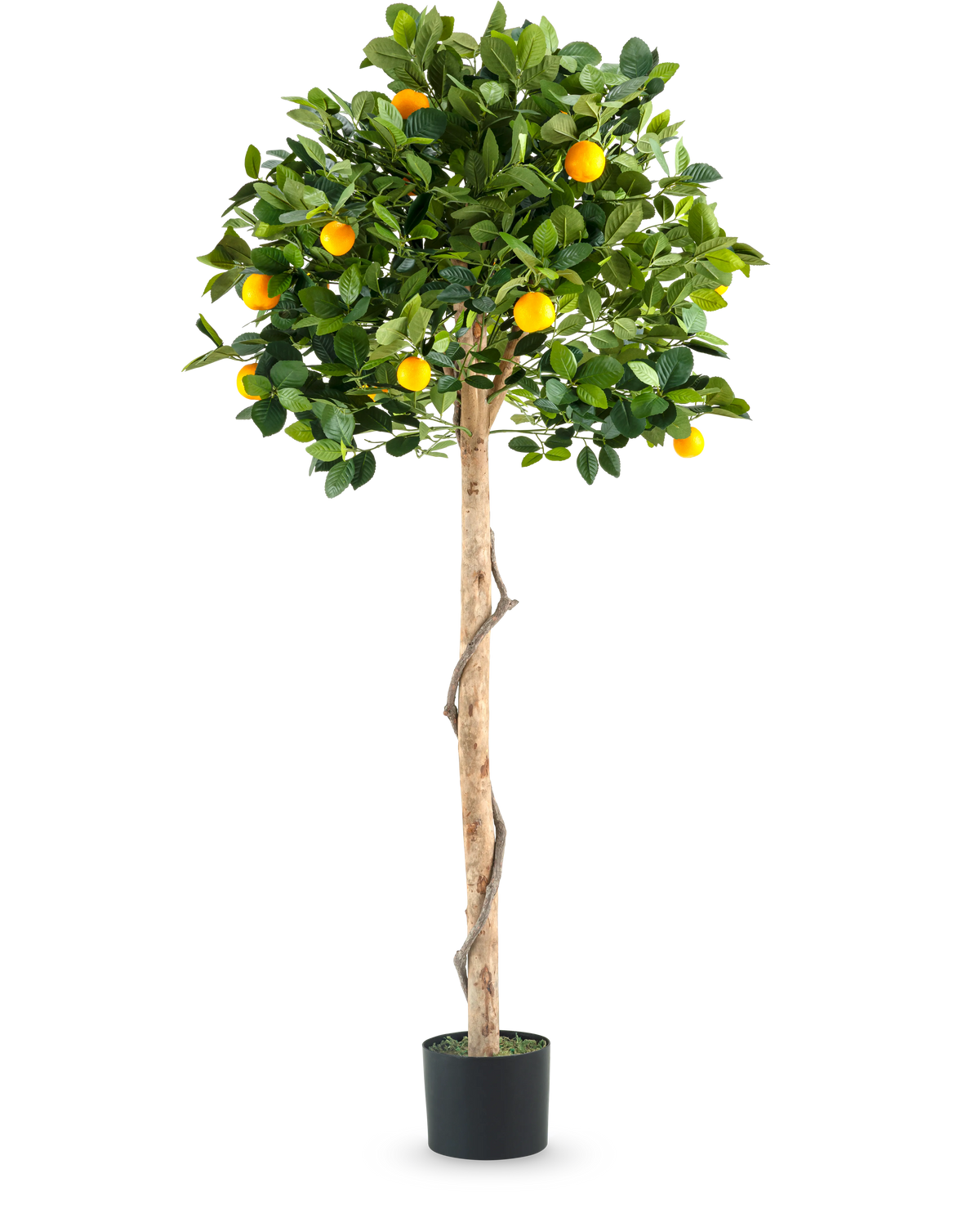 Ett konstgjord växtapelsinträd på enkelstam 150 cm i kruka med en smal stam, livfulla gröna blad och realistiska orange frukter, avbildad mot en vanlig vit bakgrund.