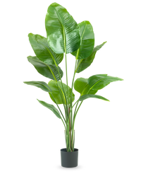 Konstgjord Strelitzia Real Touch 150cm